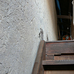 古い土壁のある階段
